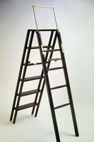 library-ladder-big